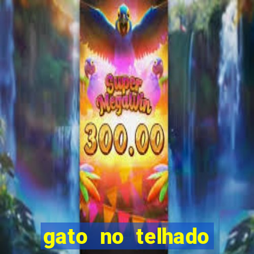 gato no telhado significado espiritual